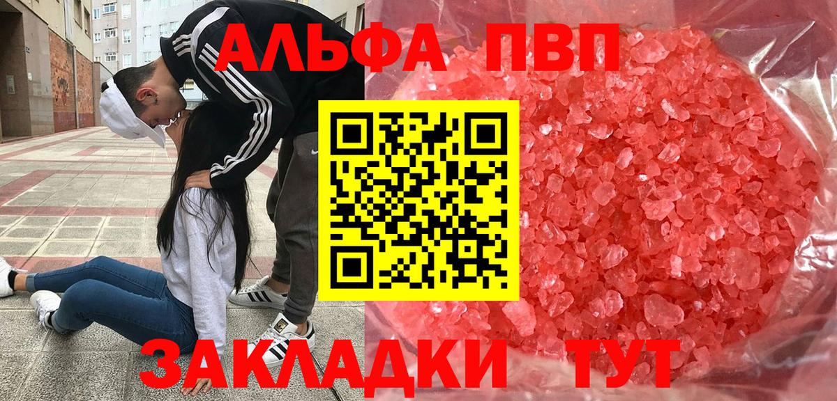 Альфа ПВП СК Дагестанские Огни