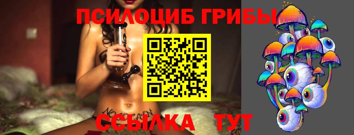 Галлюциногенные грибы Psilocybine cubensis  Вход с VPN  Дагестанские Огни 